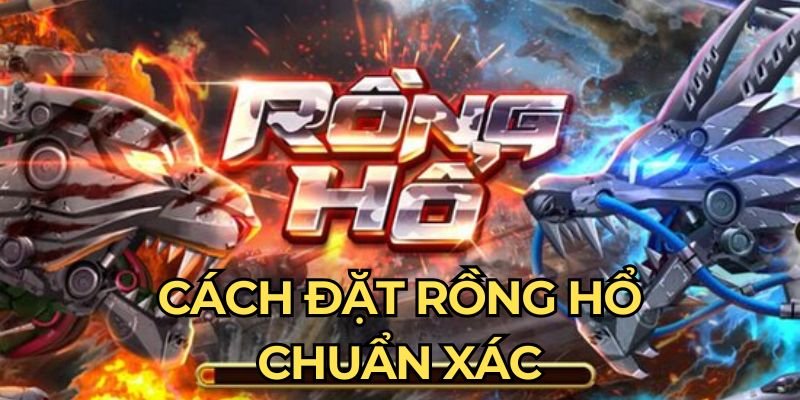 Cách Đặt Rồng Hổ Chuẩn Xác